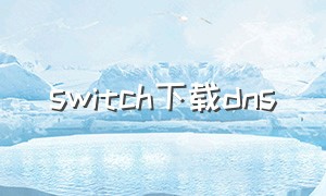 switch下载dns