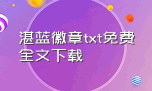 湛蓝徽章txt免费全文下载