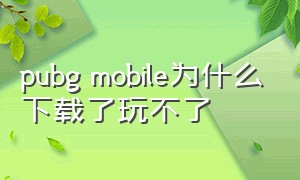 pubg mobile为什么下载了玩不了