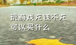 玩游戏充钱不充可以买什么（玩游戏充钱）