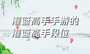 灌篮高手手游的灌篮高手段位