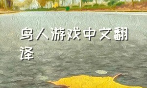 鸟人游戏中文翻译