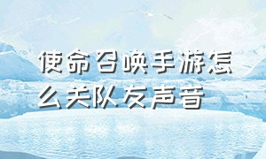 使命召唤手游怎么关队友声音（使命召唤手游pc端听不见队友声音）