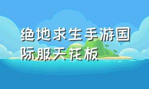 绝地求生手游国际服天花板（绝地求生手游国际服玩法教程）