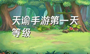 天谕手游第一天等级（天谕手游官网）