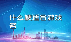 什么梗适合游戏名