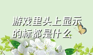 游戏里头上显示的标都是什么（游戏头顶显示名字）