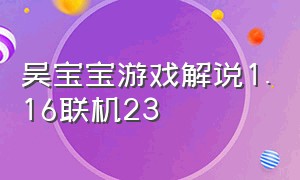 吴宝宝游戏解说1.16联机23