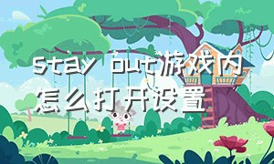 stay out游戏内怎么打开设置