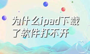 为什么ipad下载了软件打不开