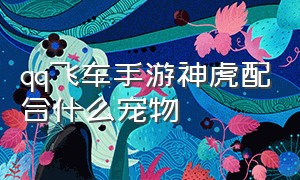 qq飞车手游神虎配合什么宠物