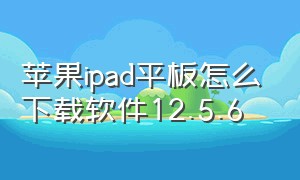 苹果ipad平板怎么下载软件12.5.6（ipad平板12.5.7版本下载不了软件）