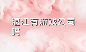 湛江有游戏公司吗