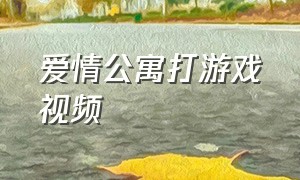 爱情公寓打游戏视频