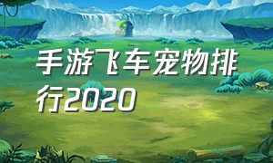 手游飞车宠物排行2020