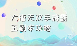 大唐无双手游霸王副本攻略