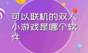 可以联机的双人小游戏是哪个软件