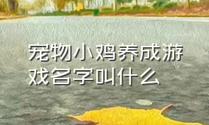 宠物小鸡养成游戏名字叫什么