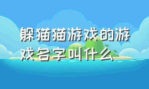 躲猫猫游戏的游戏名字叫什么