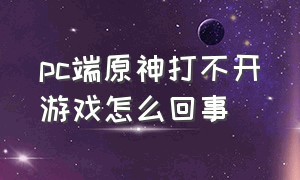 pc端原神打不开游戏怎么回事（pc端原神突然进不去游戏怎么回事）