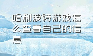 哈利波特游戏怎么查看自己的信息