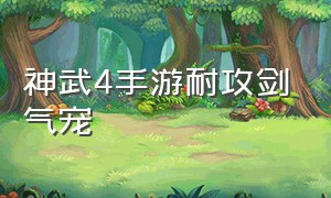 神武4手游耐攻剑气宠（神武4手游霸主耐单攻宠物怎么加点）