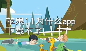 苹果11为什么app下载不了（苹果11为什么下载不了软件了）