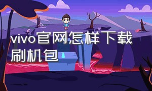 vivo官网怎样下载刷机包（vivo官网怎样下载刷机包软件）