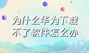 为什么华为下载不了软件怎么办