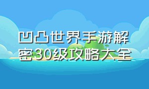 凹凸世界手游解密30级攻略大全