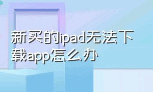 新买的ipad无法下载app怎么办