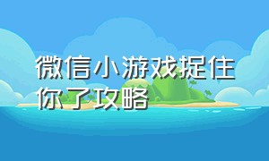 微信小游戏捉住你了攻略