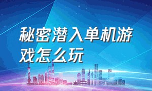 秘密潜入单机游戏怎么玩