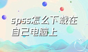 spss怎么下载在自己电脑上