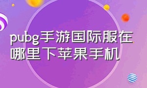 pubg手游国际服在哪里下苹果手机（pubg手游在哪里下苹果手机）