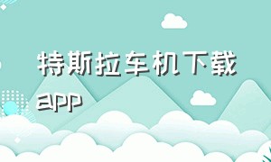 特斯拉车机下载app（特斯拉车机下载第三方软件）