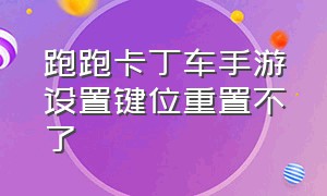 跑跑卡丁车手游设置键位重置不了