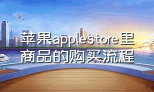 苹果applestore里商品的购买流程