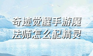 奇迹觉醒手游魔法师怎么配精灵