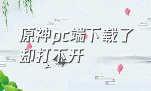 原神pc端下载了却打不开