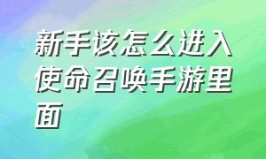 新手该怎么进入使命召唤手游里面