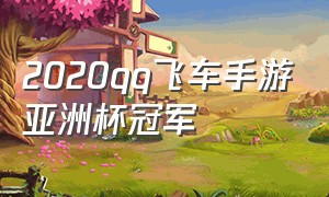 2020qq飞车手游亚洲杯冠军