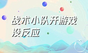 战术小队开游戏没反应