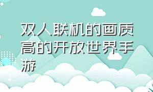 双人联机的画质高的开放世界手游