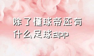 除了懂球帝还有什么足球app