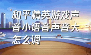 和平精英游戏声音小语音声音大怎么调