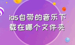 ios自带的音乐下载在哪个文件夹（苹果自带音乐下载文件在哪里）