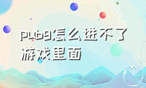 pubg怎么进不了游戏里面（pubg进入游戏以后进不了游戏界面）