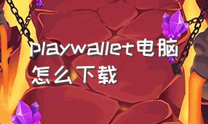 playwallet电脑怎么下载