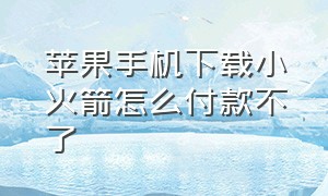 苹果手机下载小火箭怎么付款不了